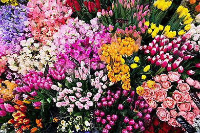 战术角色扮演游戏《刃裔学院》现已正式发售